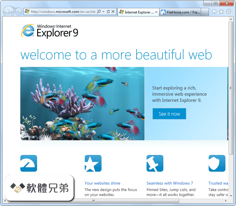 Internet Explorer (Windows7 64) Screenshot 1