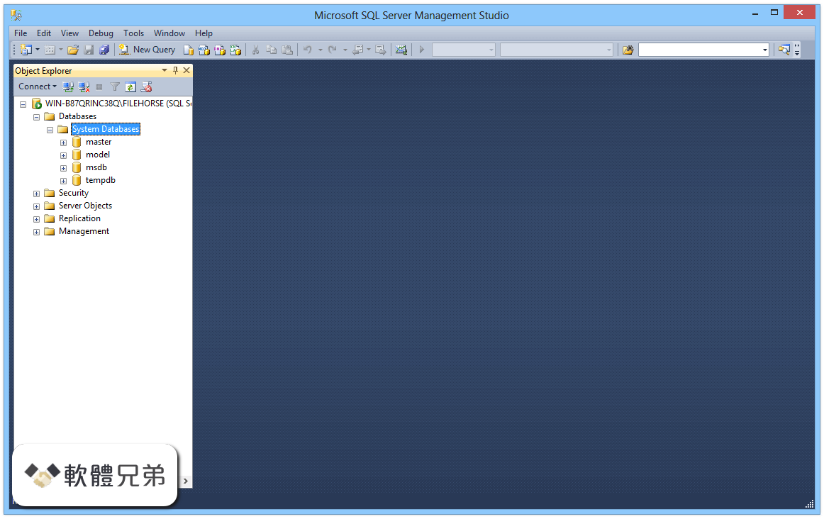 SQL Server Management Studio Screenshot 2