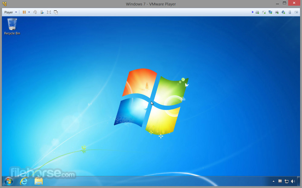 VMware Workstation Player Screenshot 2