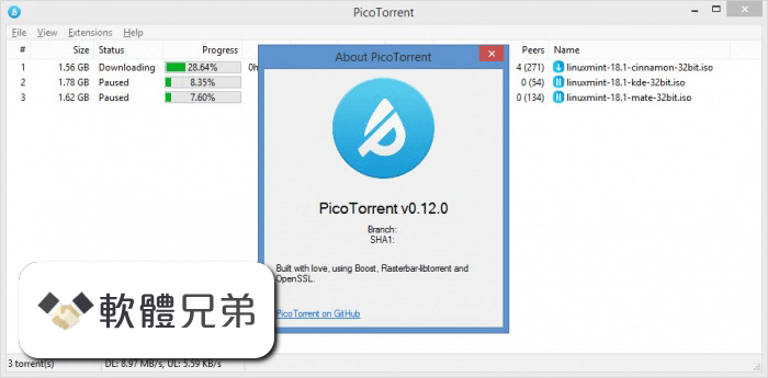 PicoTorrent (32-bit) Screenshot 4